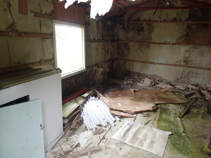 Han lär inte hinna cacha något om han skall renovera detta hus!