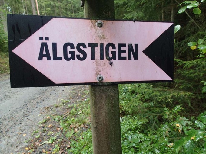 Älgstigen