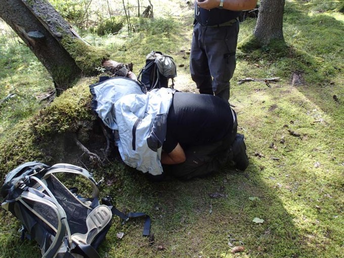 Normalt beteende....