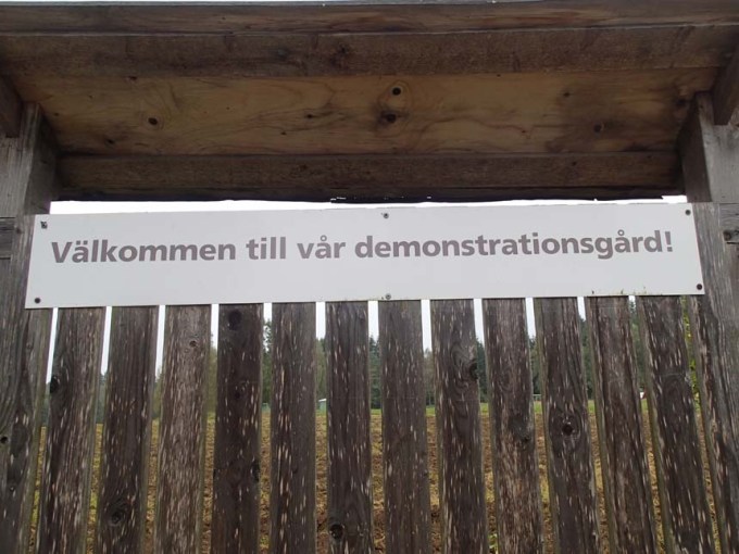 Plakat och fanor kanske...