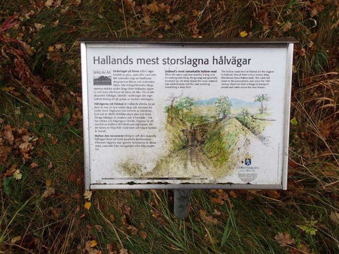 Hålvägar