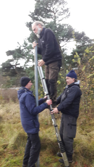 En helt vanlig söndag - men någon burk hittades tyvärr inte här trots denna kraftansträngning. (Foto: Jsson)