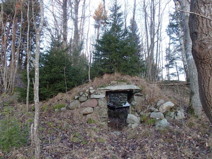 Ett träd som växer över ingången till en förfallen jordkällare, lite märkligt.