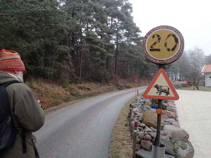 Oväntade djur i skogen!